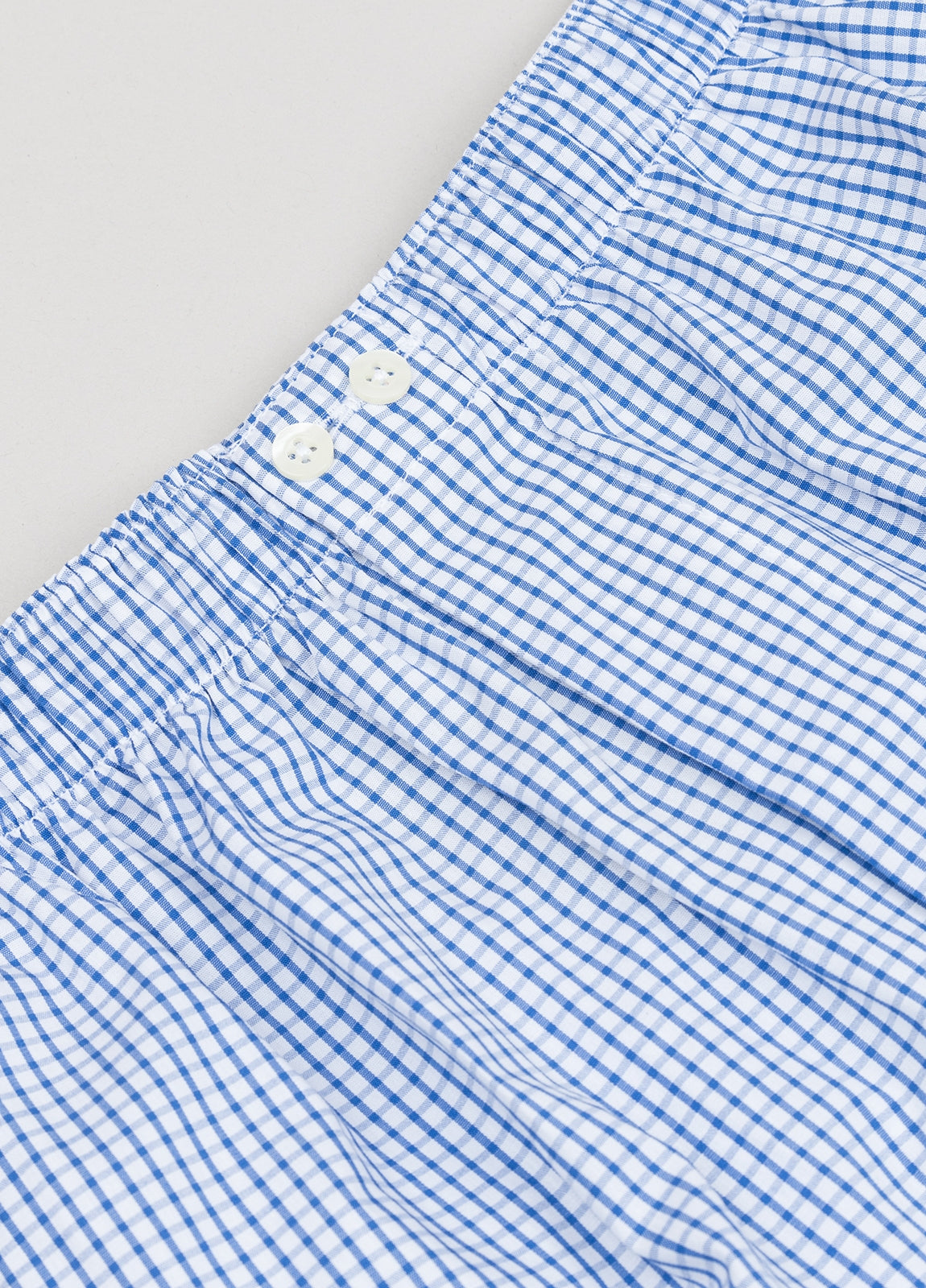 Blue checkered boxer