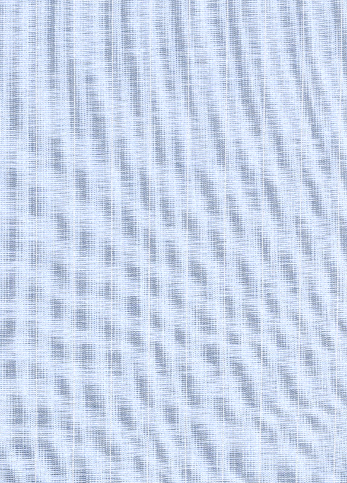 Light blue boxer with white stripes