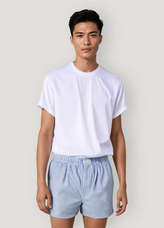 Blue checkered boxer