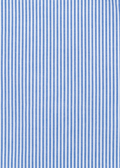 Blue striped boxer