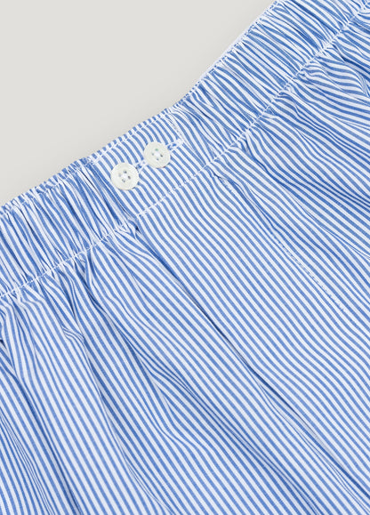Blue striped boxer