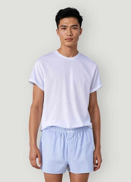 Light blue boxer with white stripes