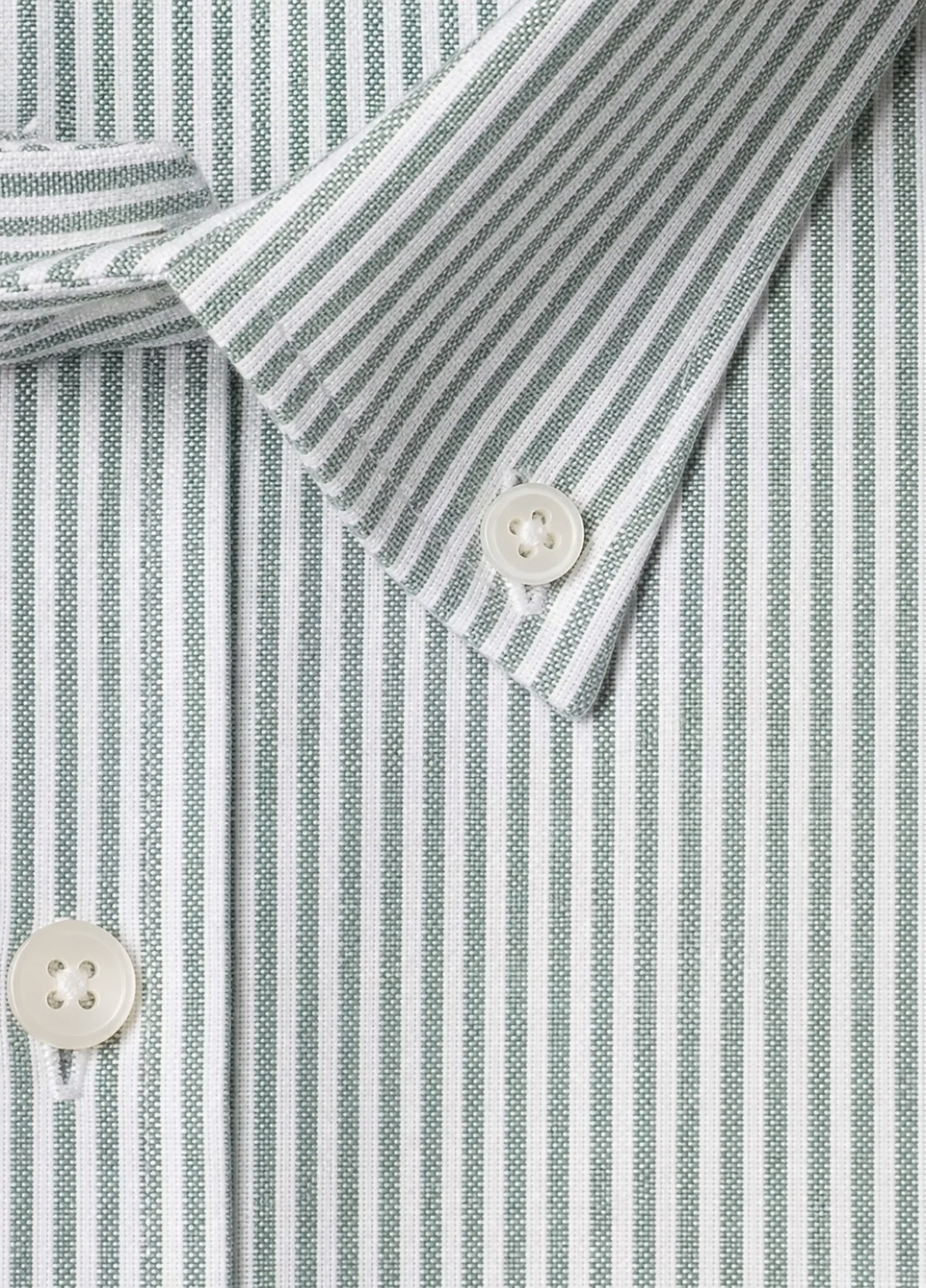 Camisa oxford raya verde