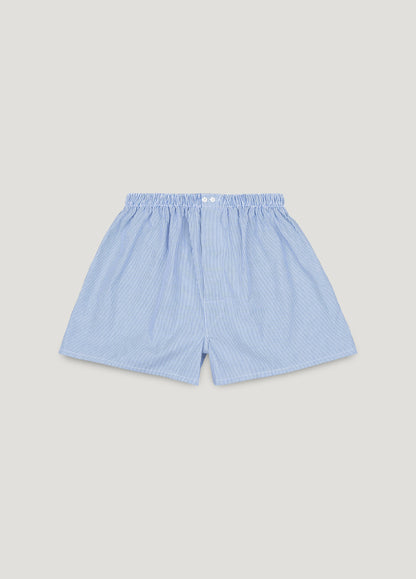 Blue striped boxer