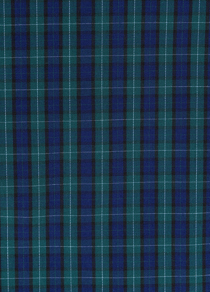 Green and blue checkered boxer shorts